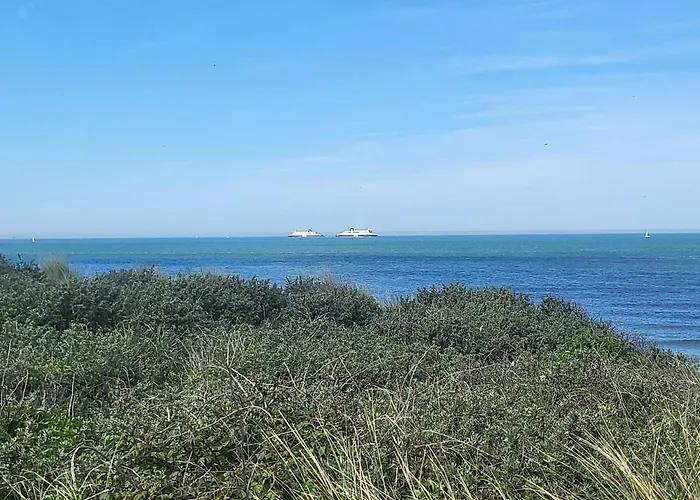L'escapade ansérienne