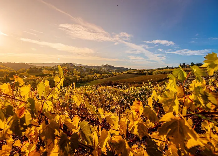 Agriturismo Il Segreto di Pietrafitta