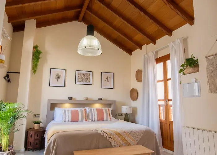 Apartamentos Turísticos San Pedro