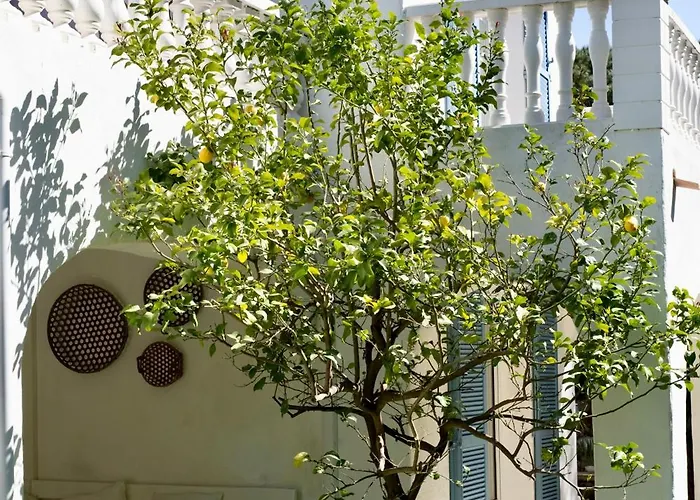 Luxury Family Villa With Large Pool, Garden & Outdoor Dining Near Beach, Domaine L'Oiseau Bleu In Sainte-Maxime