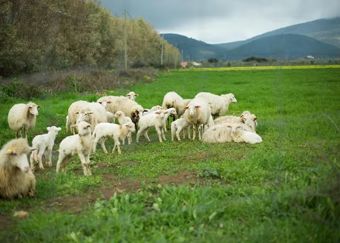 Agriturismo Barbagia