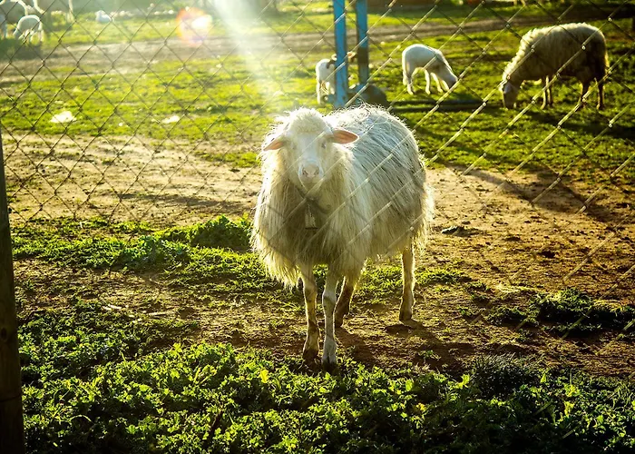 Agriturismo Barbagia