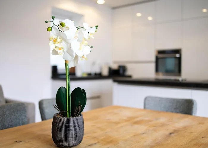 Nadland Apartment Wehlistrasse