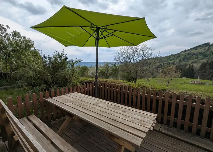 Gîte de montagne rénové avec poêle à bois - Saulxures-sur-Moselotte - FR-1-589-237