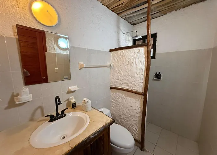 Perros hoteles Mayan Mittoz