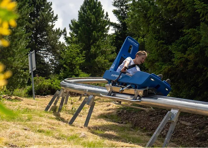 Chaleureux appartement aux pieds des pistes