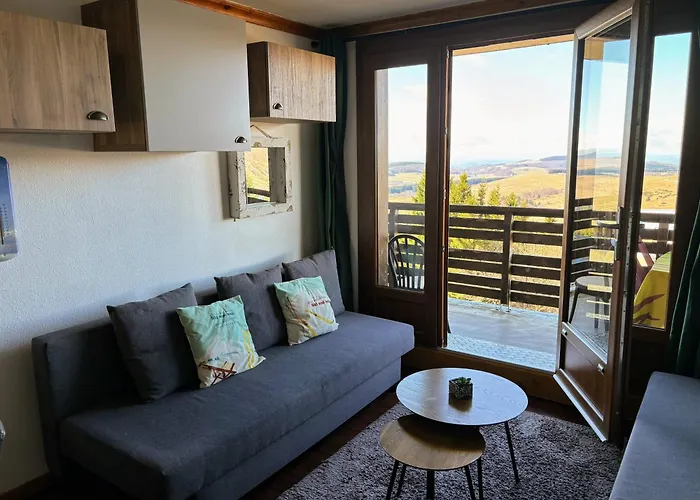 Lama-Gîte-des-Puys T3 Lamadalet, vue sud, terrasse, parking privé