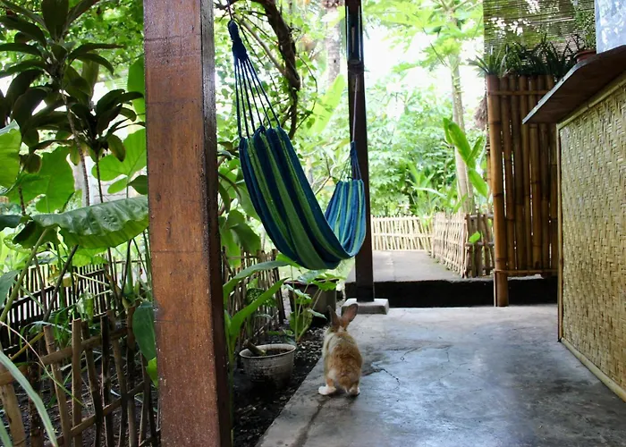 Familienhotels Follow The Rabbit Bungalow