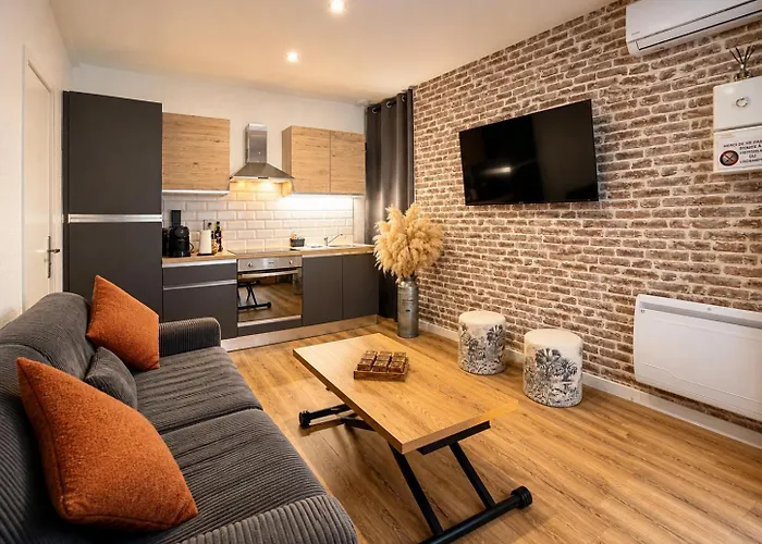 Les Logis d'Esmeralda-Appartements Centre Romorantin