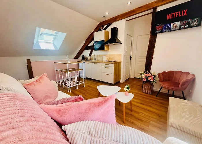 Les Logis d'Esmeralda-Appartements Centre Romorantin