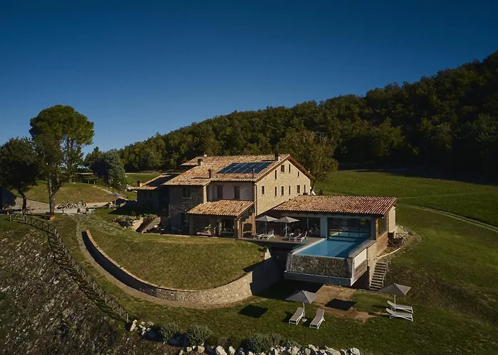 Aura Relais