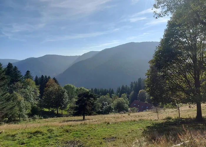 Appartement dans vielle ferme au coeur des Vosges