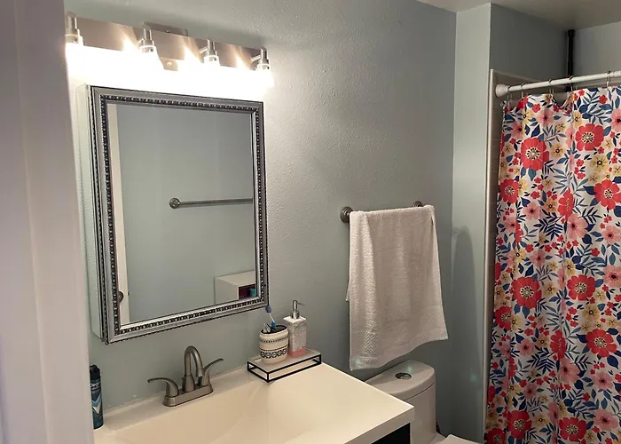 Shared Space With Private Room In Beautiful Lakefront Apartment