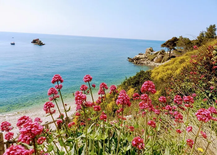 Le Pied A Terre En Bord De Mer