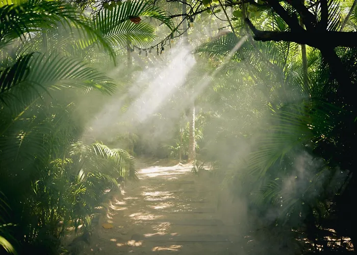 Nomade Tulum