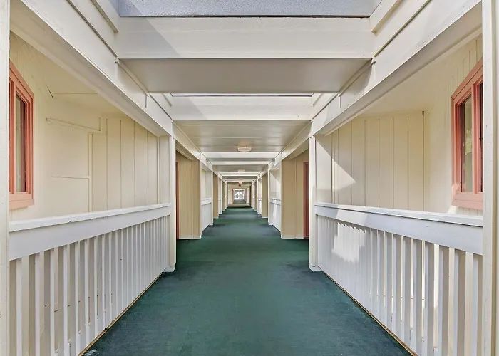 Hotel near College: Plantation East #1110