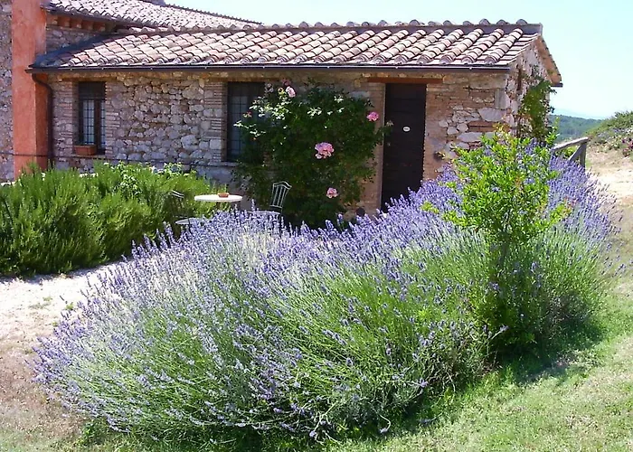 Podere Costa Romana