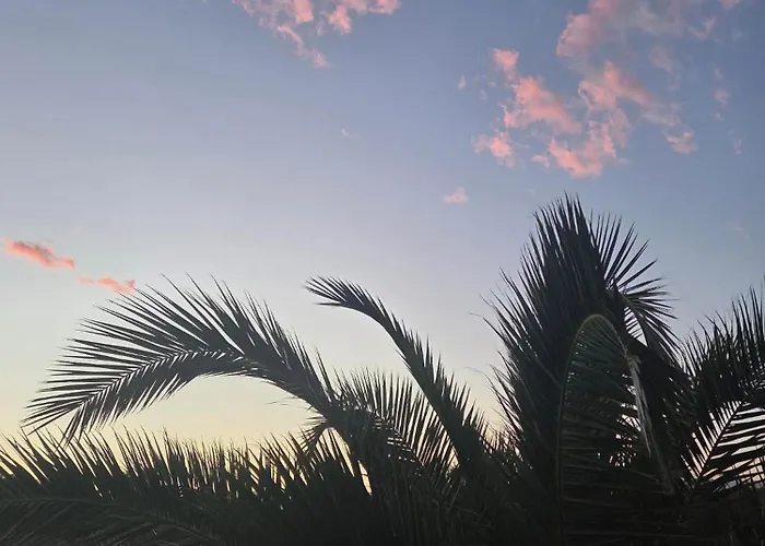 Valinco Locations Olmeto Plage