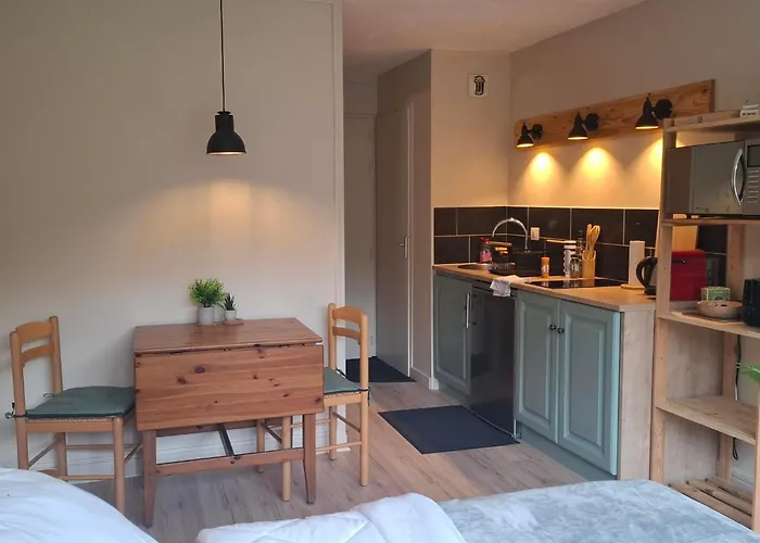 Studio premium au Lioran - Linge et ménage inclus - Lit Queen, Parking privé