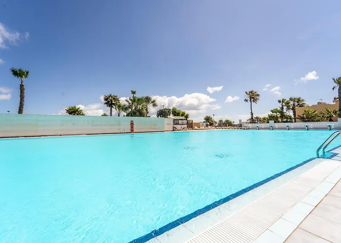 Oasis Fuerteventura
