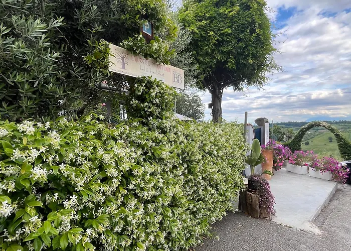  L'Albero Di Antonia
