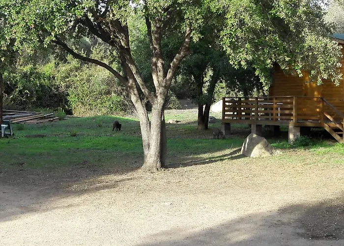 chalets bois 150m de la plage