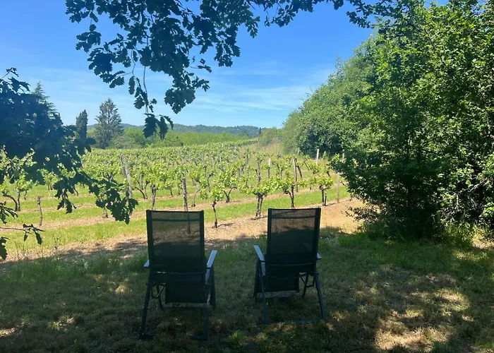La Bastide Des Ecureuils-Piscine & Jardin Prive A Prayssac