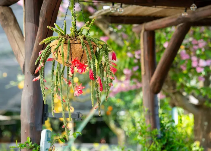  La Casa Nel Giardino