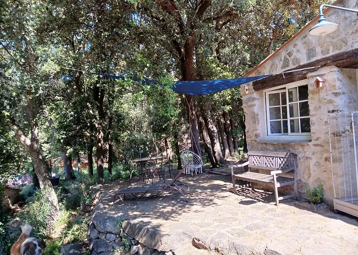 Gîtes Mas La Bergerie