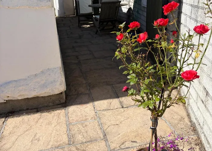 Rose Cottage Room Bee Happy