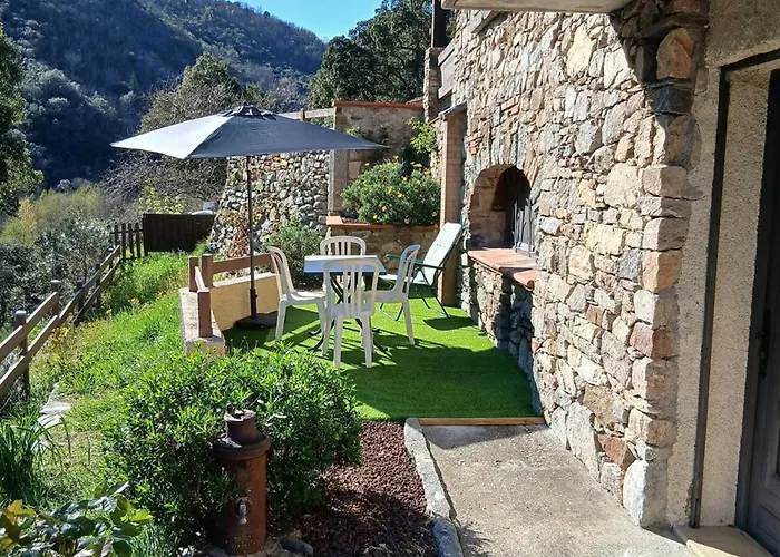 Appartement Confortable en Pleine Nature à Arles-sur-Tech - Parking et Animaux Acceptés - FR-1-703-99