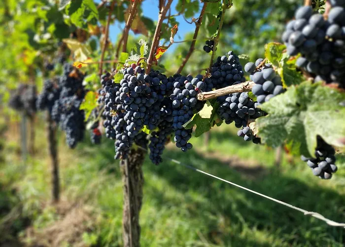 3 SterneHotel -Restaurant Fröhlich