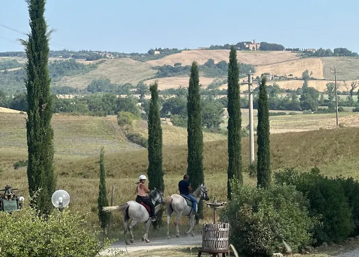 Wine Resort Colsereno