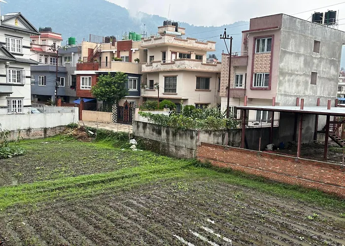 Mums Homestay & Apartment-A Real Home Experience