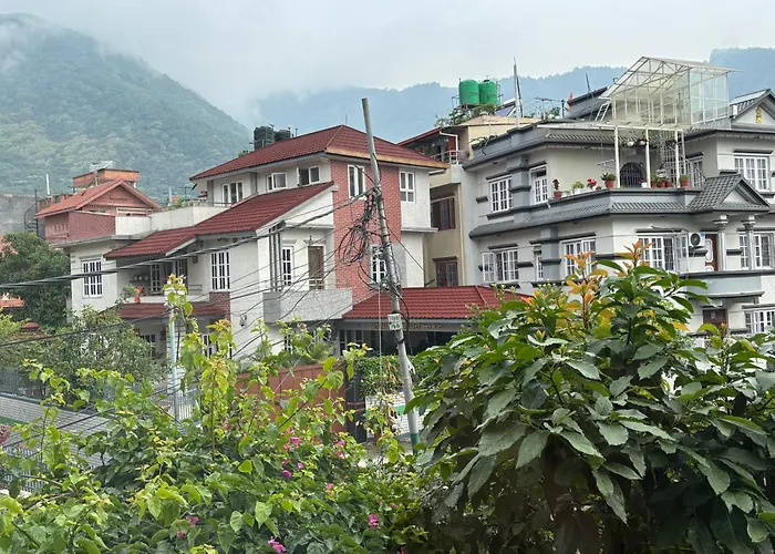 Mums Homestay & Apartment-A Real Home Experience