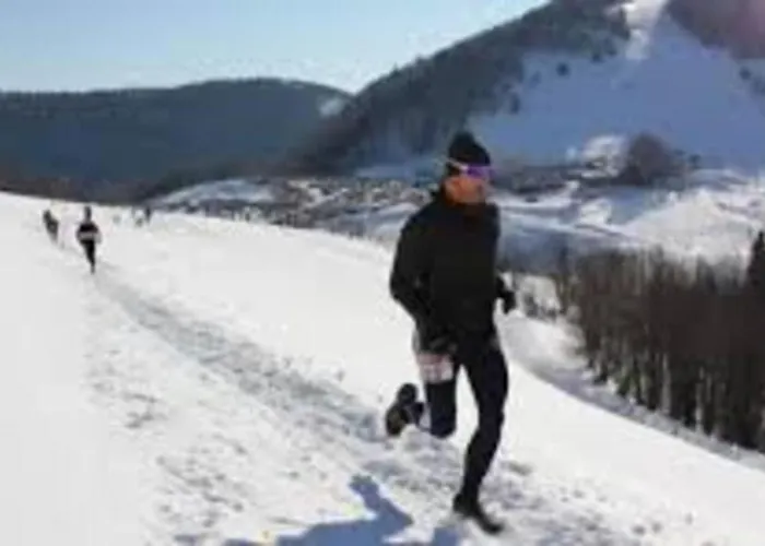 Maison de montagne Hautes Vosges- 12 Pers-Nature-Randonnée- VTT