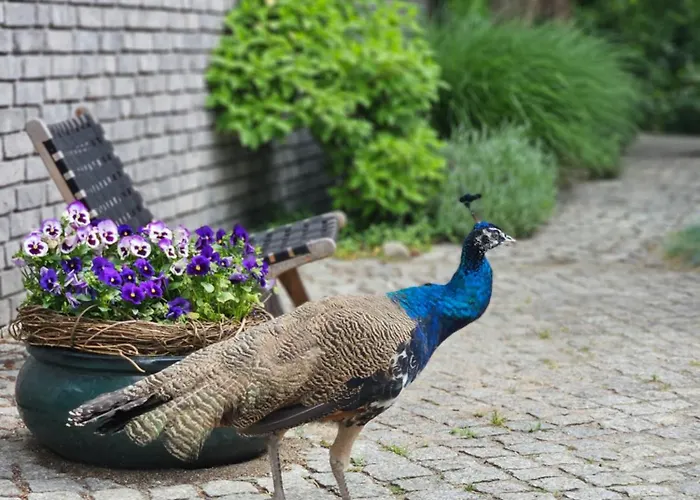 Hey Spreewald Ferienapartments