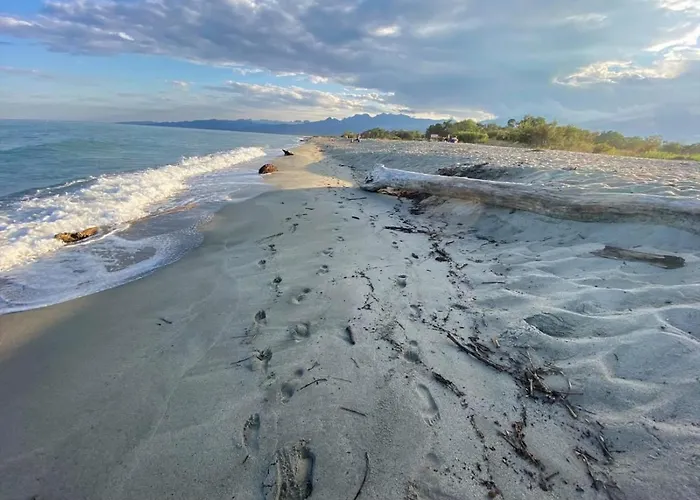 Les pieds dans l eau de Betty Ghisonaccia plage 50 m