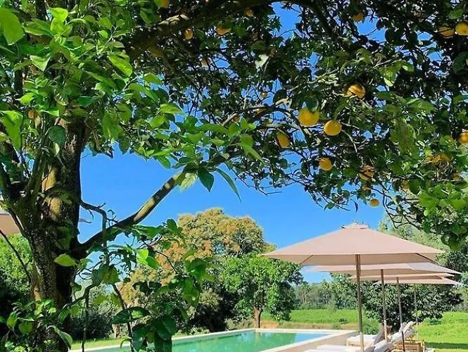 Terra Rosa Country House & Vineyards