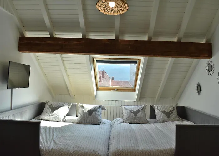 Charmant studio, le petit gris des montagnes