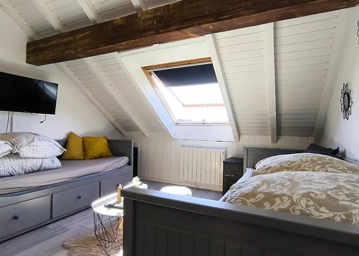 Charmant studio, le petit gris des montagnes