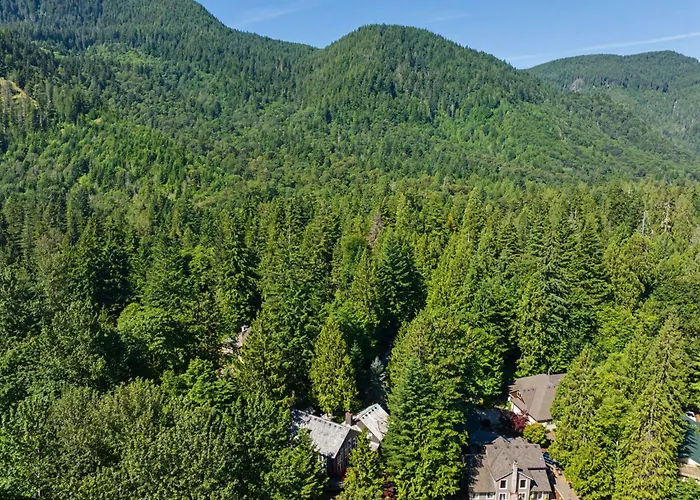 Lazy Bear Lodge - Spacious 6Br Lodge With Chef'S Kitchen, Hot Tub, Golf Views And More