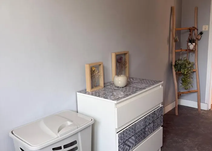 Appartement vue sur la Rhune