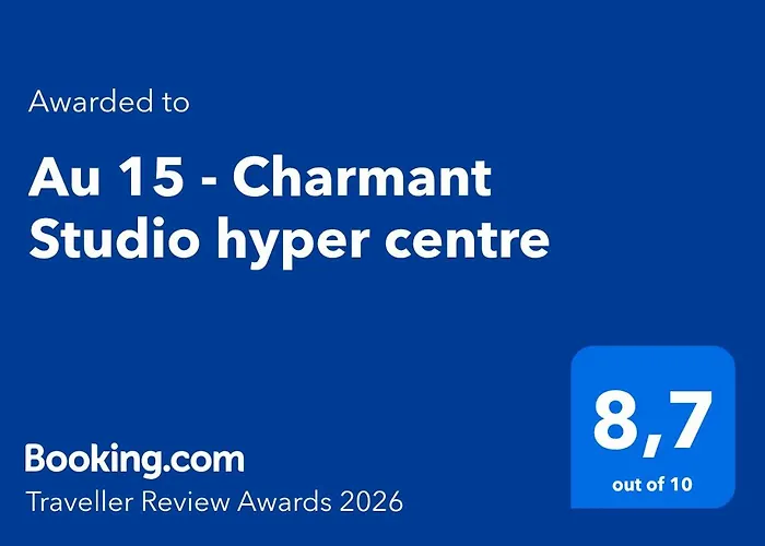 Au 15 - Charmant Studio Hyper Centre