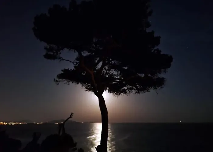 Votre terrasse vue mer sous la vigne, un havre de paix