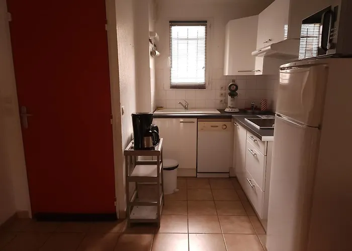 Appartement charmant à La Salvetat-sur-Aout 50 m² avec jardin