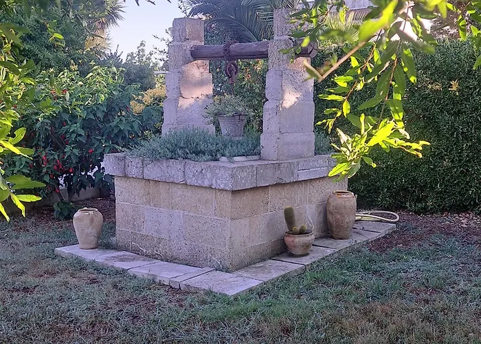 Piccolo Vigneto