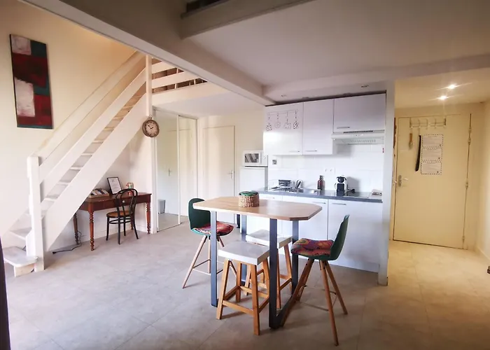 COSY Home - 2 à 4 pers - Aéroport - vieux Blagnac