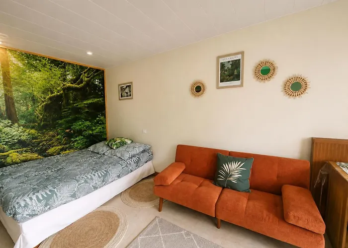 Appartement thème jungle