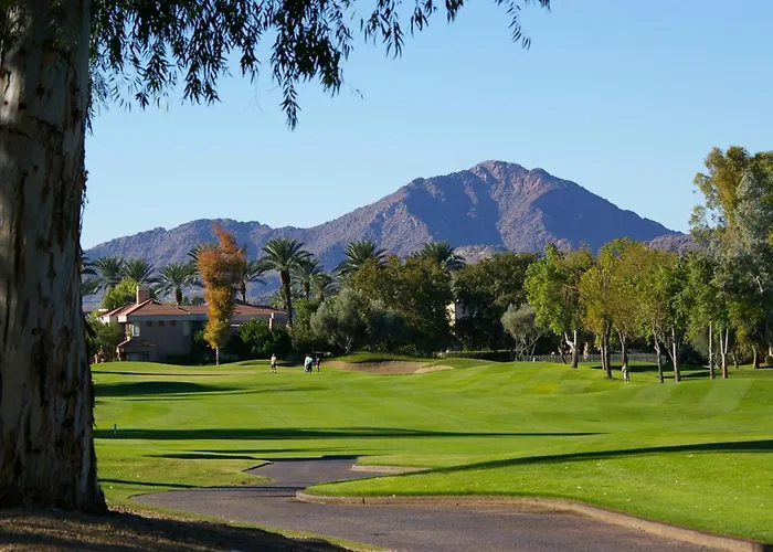 Scottsdale Sahuaro